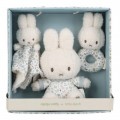 tiamo collection Miffy 四方禮盒 - 幸運藍